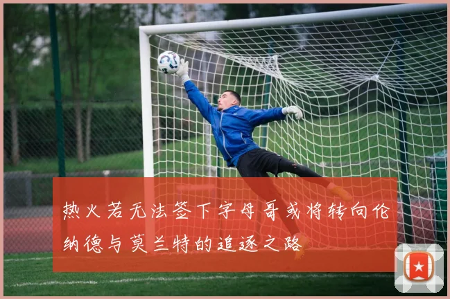 热火若无法签下字母哥或将转向伦纳德与莫兰特的追逐之路