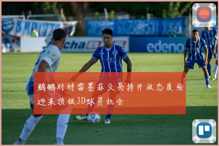 鹈鹕对特雷墨菲交易持开放态度或迎来顶级3D球员机会